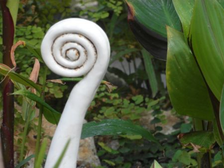 ceramic fern spiral