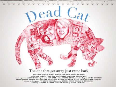 dead cat poster