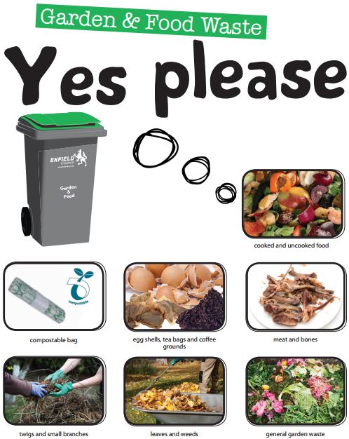 green bin items