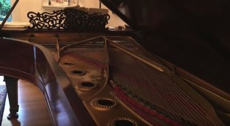 maxibility piano