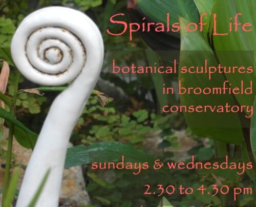 spirals of life poster with fern