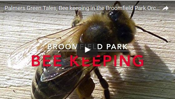 broomfield beekeeping video