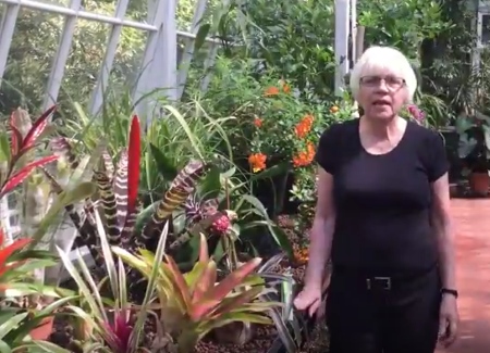 broomfield conservatory video clip