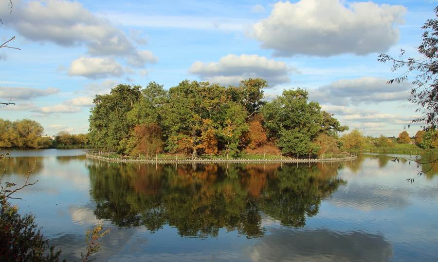 walthamstow wetlands
