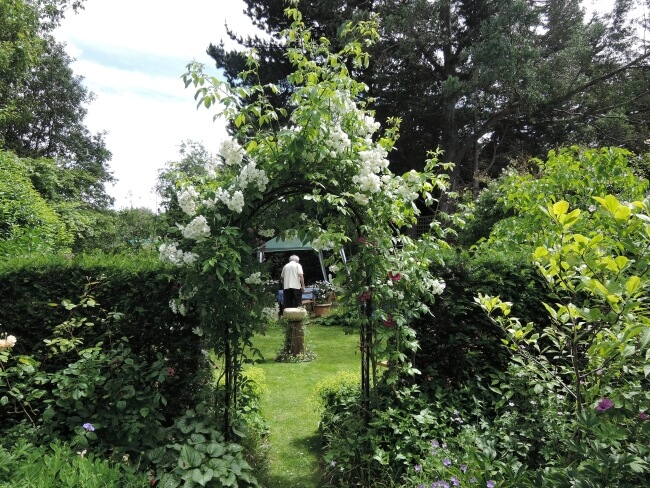 the rose arch in the garden at arnos lodge