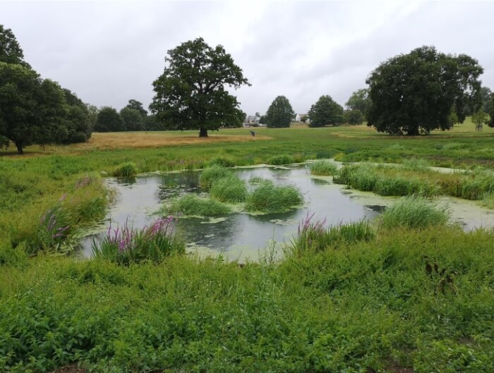 broomfield park wetlands overview