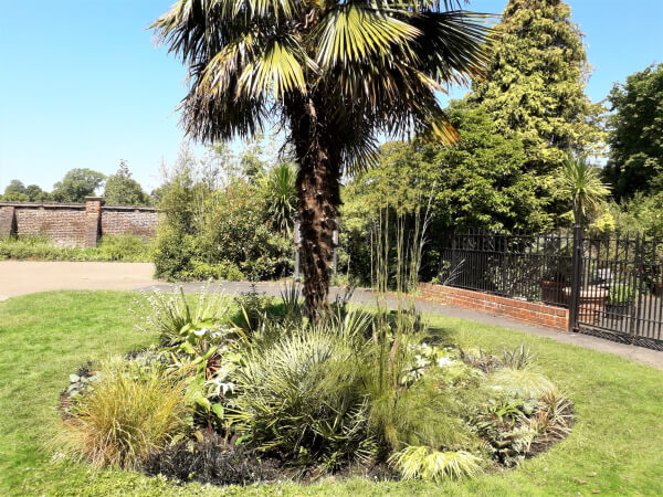 circular flowerbed outside broomfield conservatory