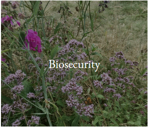 fobp biosecurity