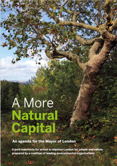 a more natural capital manifesto cover picture