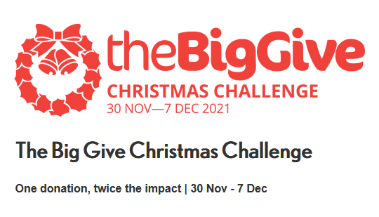 big give 2021