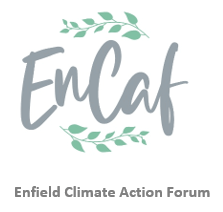 encaf logo grey and green