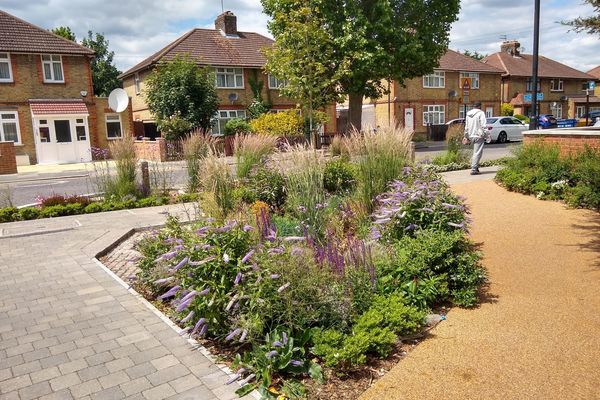 haselbury estate rain garden