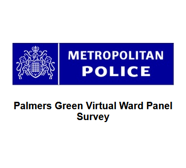 palmers green virtual ward panel survey