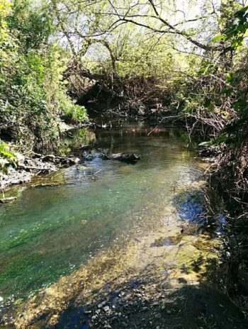 pymmes brook in upper edmonton