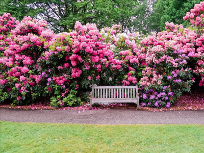 gazebo border after