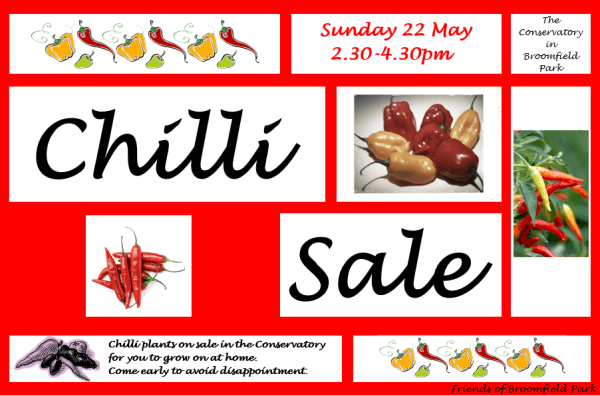 202205 chilli sale