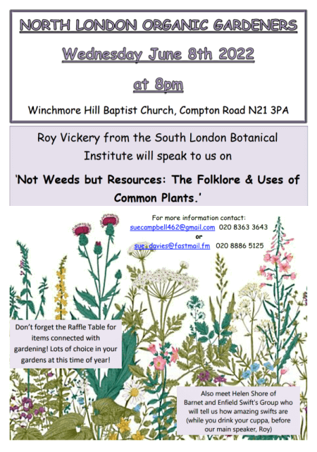 poster or flyer advertising event North London Organic Gardeners: Not weeds but resources: The folklore and uses of common plants
