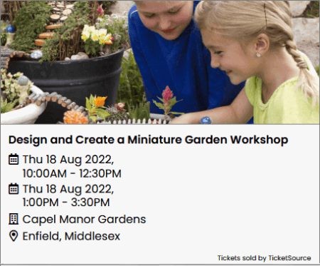 202208 design and create a miniature garden workshop