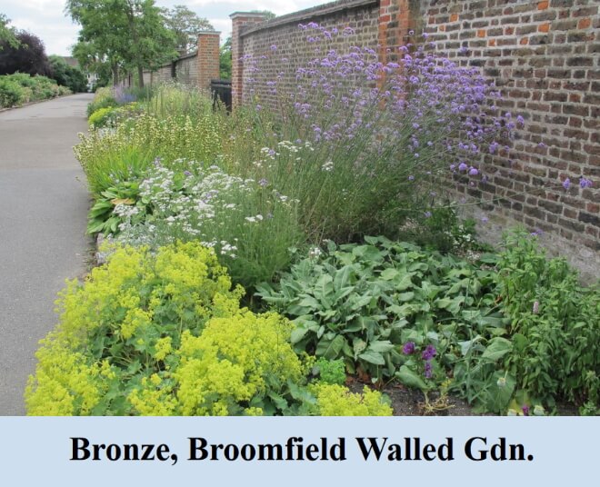 bronze broomfield walled garden