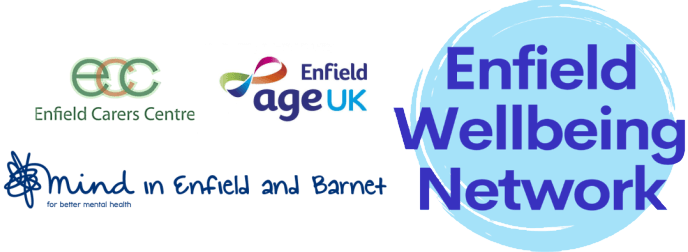 enfield wellbeing network composite