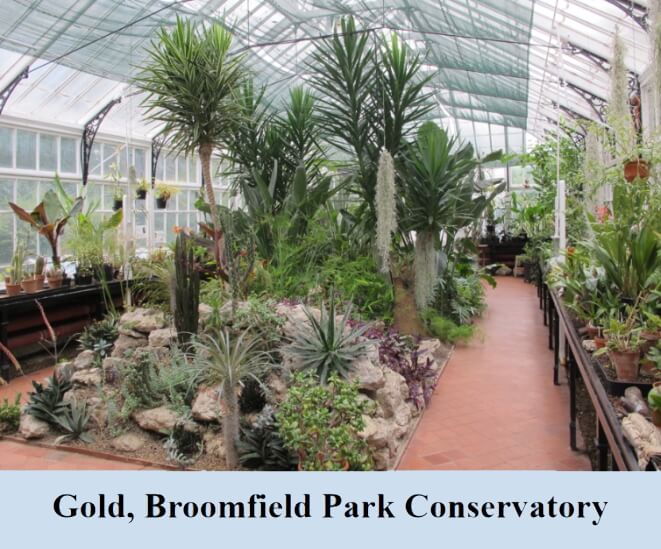 gold broomfield park conservatory