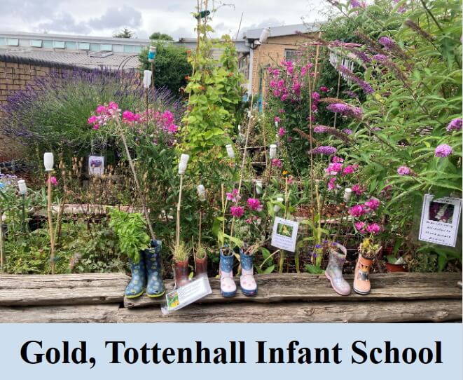 gold tottenhall infant school