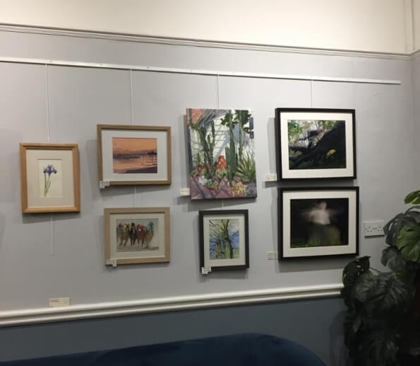 pictures from the southgate club art gallery summer 2022 exhibition