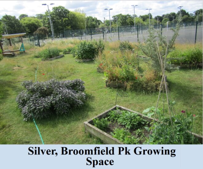 silver broomfield park growing space
