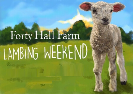 202303 forty hall farm lambing weekend