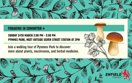 poster or flyer advertising event Untold Edmonton: Foraging in Pymmes Park