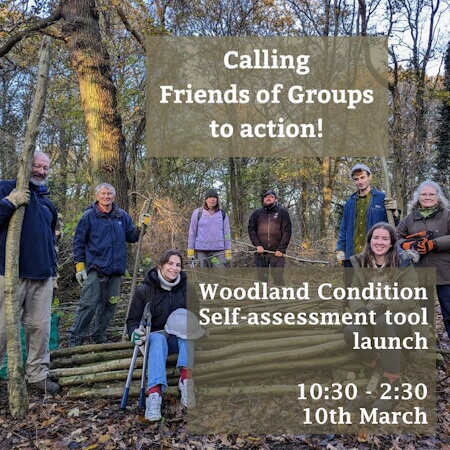 poster or flyer advertising event Woodland Condition Self-assessment Tool Launch - Enfield