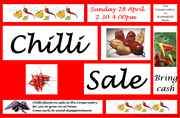 poster or flyer advertising event Chilli plants on sale outside Broomfield Conservatory