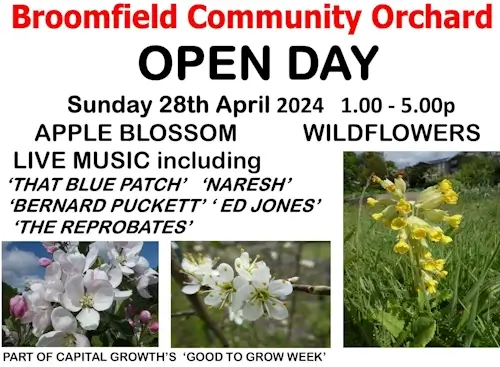 poster or flyer advertising event Broomfield Community Orchard Open Day
