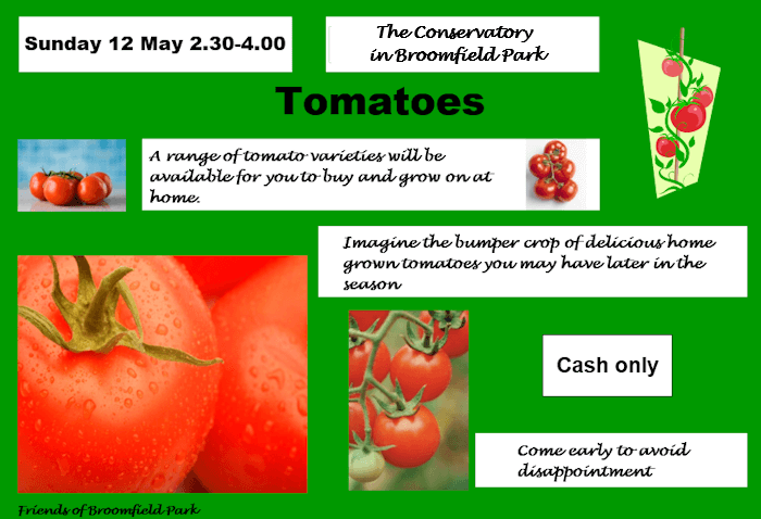 poster or flyer advertising event Tomato plants on sale outside Broomfield Conservatory