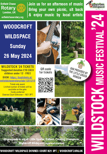 poster or flyer advertising event Wildstock \'24 Music Festival