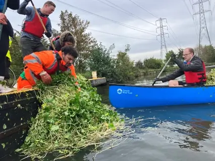 volunteers collecting floating pennywort from the river lee navigation 1