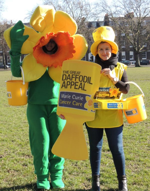 marie curie daffodil collectors
